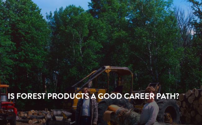Is Forest Product a Good Career Path