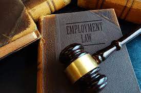 When Does an Employee Need an Employment Lawyer