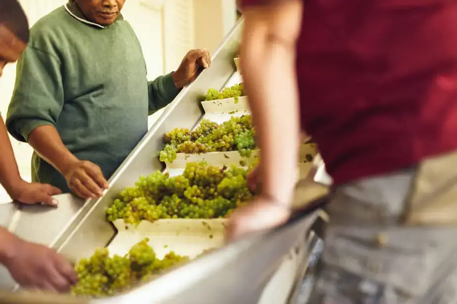 Is Food Distributors a Good Career Path