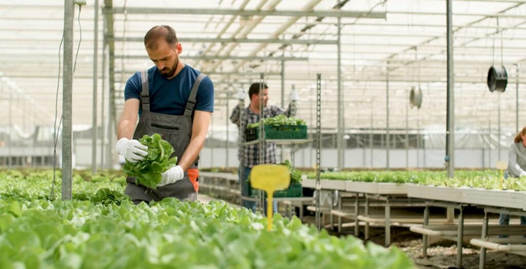 Is Agricultural Chemicals a Good Career Path