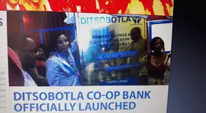 Credit Co-operative Bank job