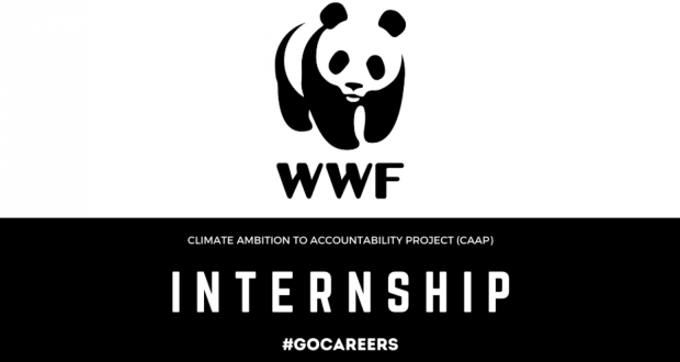 WWF Climate Internship