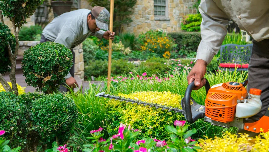 Multiple Job for Gardeners and Landscape Workers in the United Arab Emirates