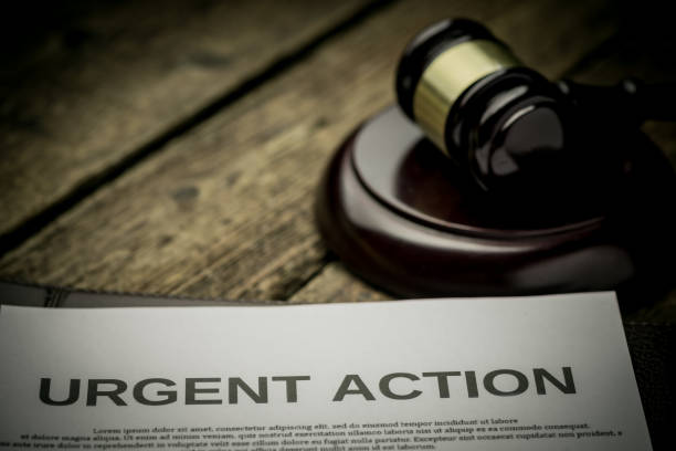 What Does Third Party Insurance Cover Theory in 2023