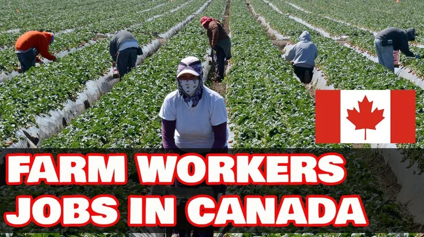 Multiple Job for Farm Workers in Canada