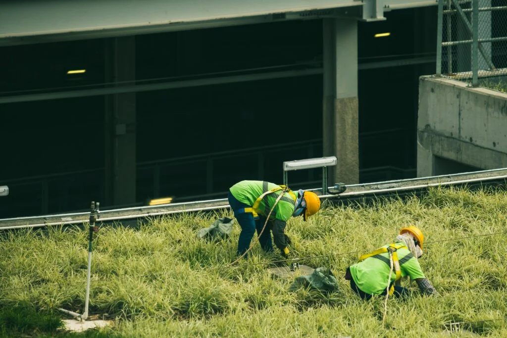 Everything You Need About Landscaping Job Visa Sponsorship